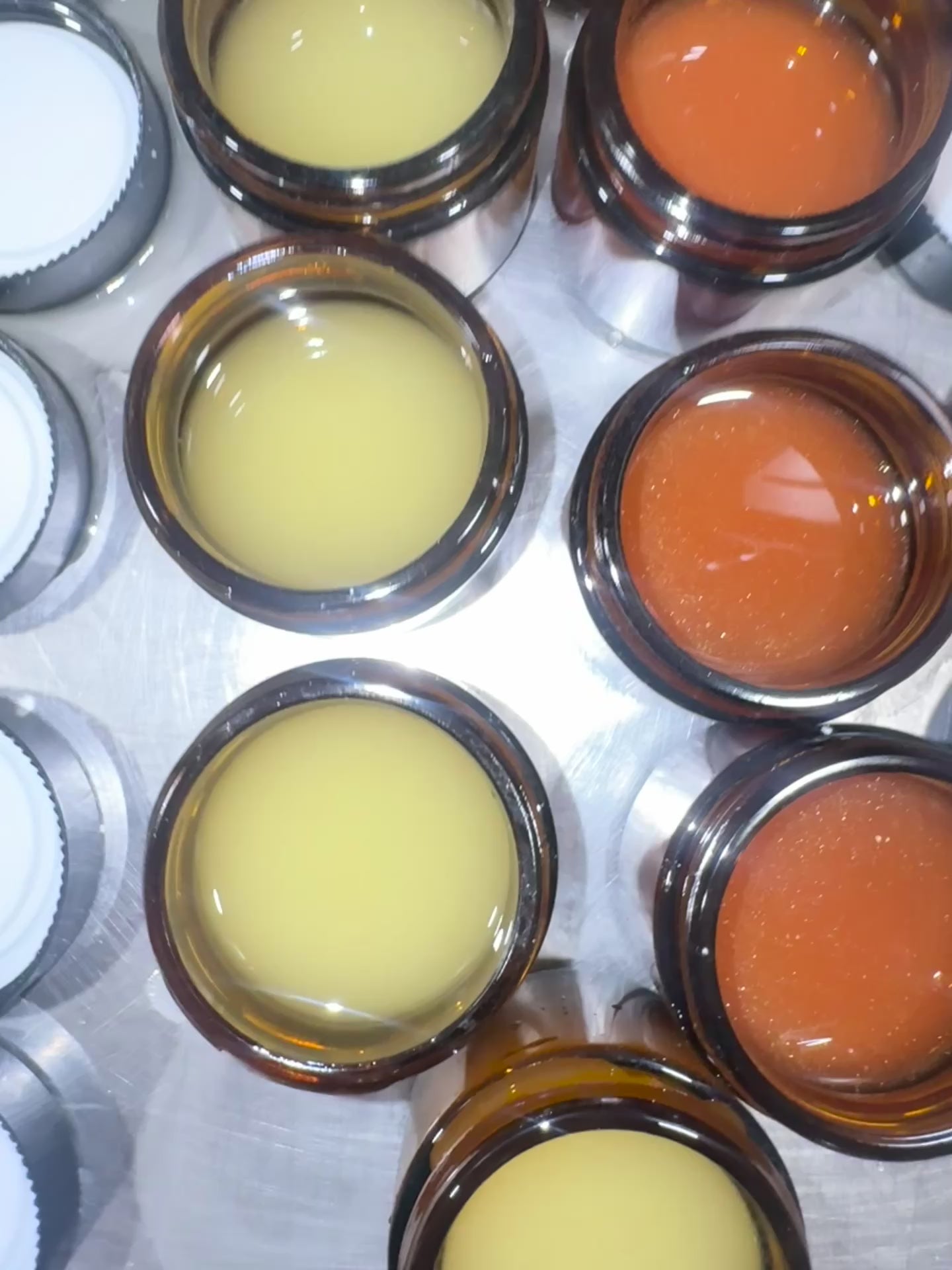 Tallow + Mango Butter peppermint/rosemary lotion